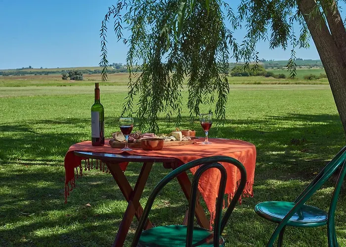 Campo & Golf