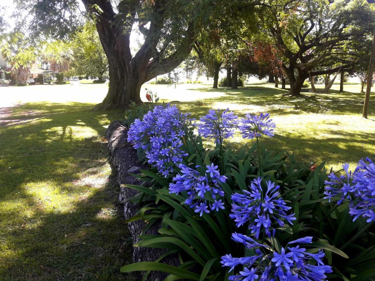 Campo & Golf 4*