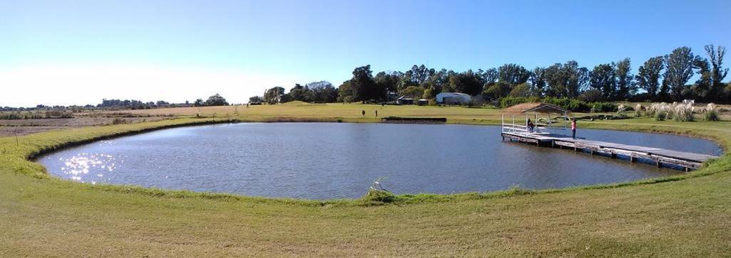 Campo & Golf 4*