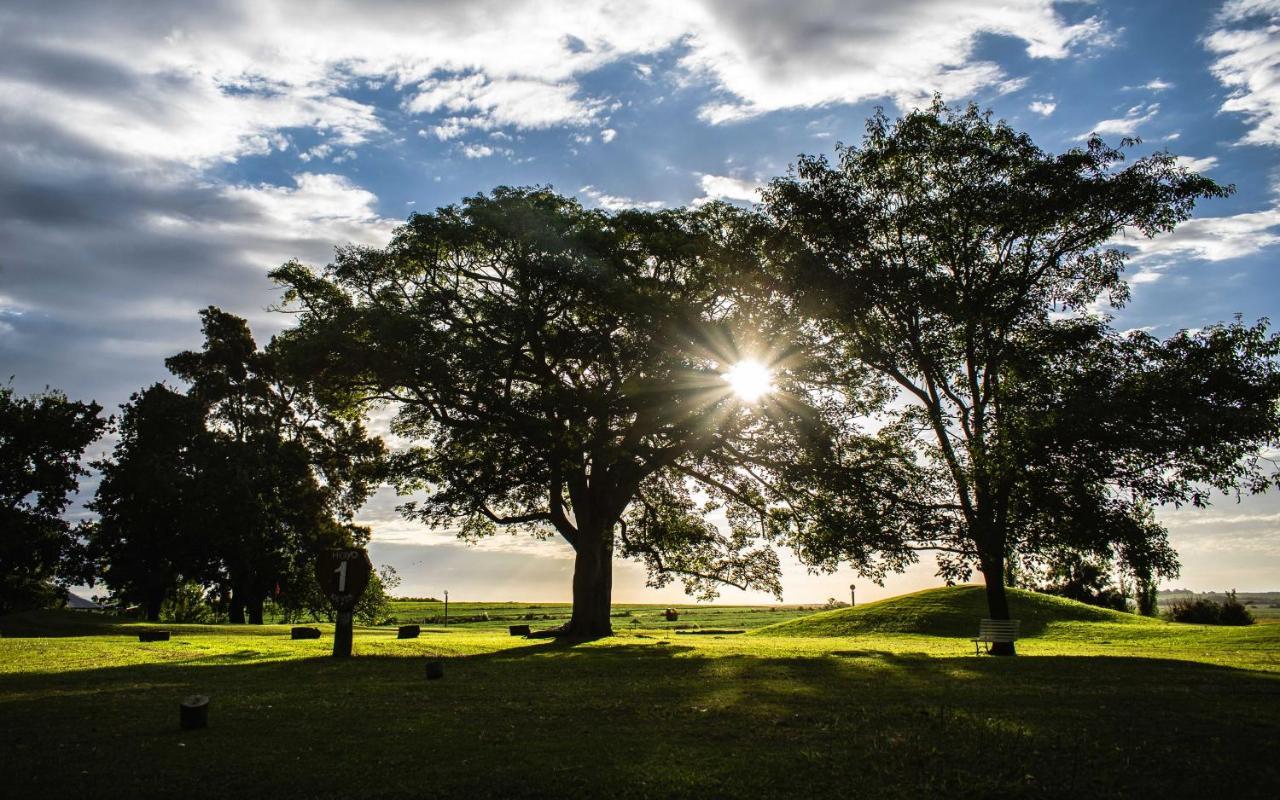 Campo & Golf